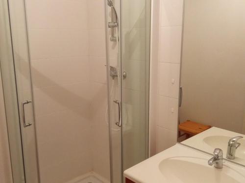 une salle de bain avec douche et lavabo dans l'établissement Studio cabine cosy, balcon & parking, 05250 La Joue du Loup - FR-1-504-256, à Saint-Étienne-en-Dévoluy