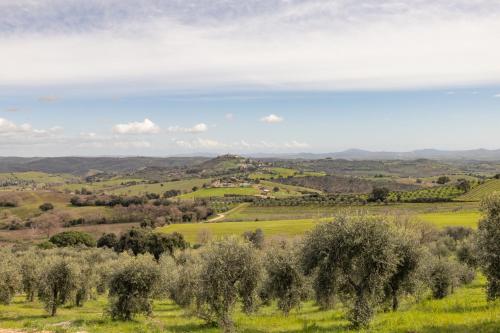 a view of the rolling hills and olive trees at Casale Oleo in Montiano