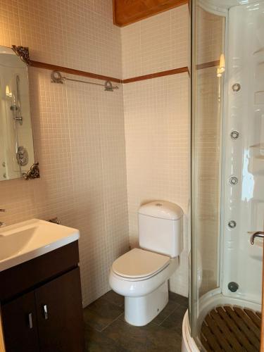 a bathroom with a toilet and a shower and a sink at Chalet Anayet Lodge Luxury 5 Stars in Formigal in Formigal