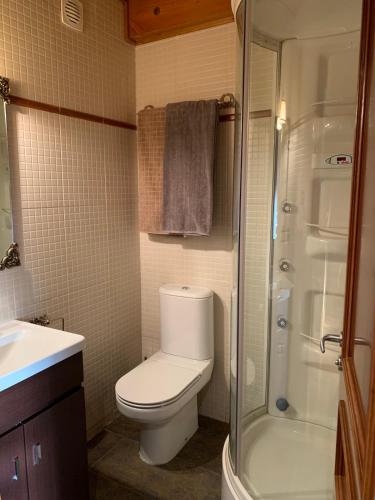 a small bathroom with a toilet and a shower at Chalet Anayet Lodge Luxury 5 Stars in Formigal in Formigal