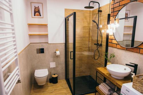 a bathroom with a shower and a toilet and a sink at Apartament Ulubiony Mariental Residence in Szklarska Poręba