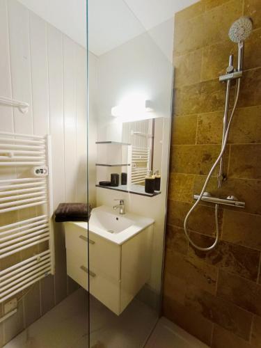 une salle de bain avec un lavabo et une douche dans l'établissement Le nid des Bains - Climatisé - Piscine partagée, à Digne-Les-Bains