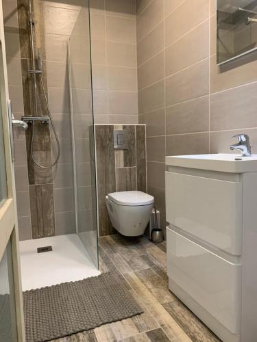 une salle de bain avec une douche, des toilettes et un lavabo dans l'établissement Hôpitaux, Eurexpo, Groupama Stadium, à Bron