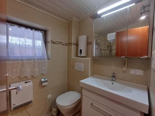 Koupelna v ubytování Apartment Schmid - Steinbock Lodges