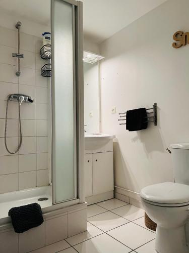 une salle de bain avec une douche, des toilettes et un lavabo dans l'établissement Appartement Le Renard - F2 parking calme, à Rouen