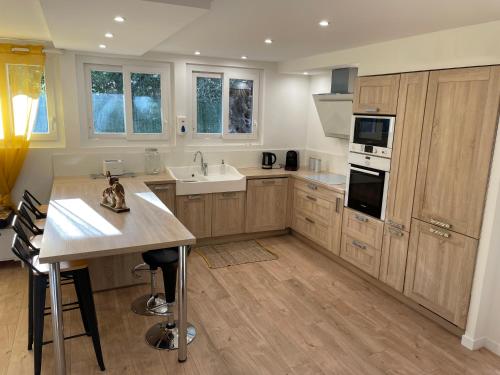 une grande cuisine avec des armoires en bois et un comptoir dans l'établissement Joli rez de jardin 3 pieces à Cagnes sur mer, à Cagnes-sur-Mer