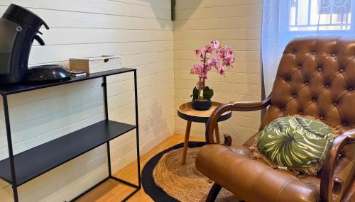 a room with a leather chair and a table with a plant at Pitchoune - Centre -Wifi - Equipé in Dax
