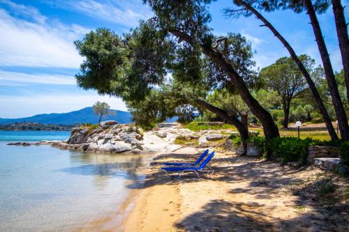 Φυσικό τοπίο κοντά σε αυτή η βίλα