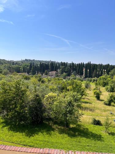 Toscana in Città - Silenzioso APT immerso nella natura