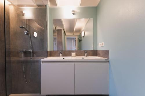 ein Badezimmer mit Waschbecken, Dusche und Spiegel in der Unterkunft Boszicht Huisje 32 in Nieuwmunster