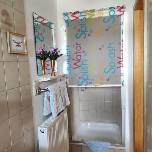 a bathroom with a sink and a mirror at Gästehaus Familie Rinke in Bad Harzburg