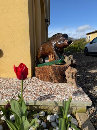 Gambar di galeri bagi B&B Casa Cruccas di Castiadas