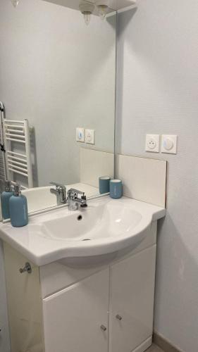 une salle de bain avec un lavabo blanc et un miroir dans l'établissement Monge 2 T2 terrasse calme et chaleureux au cœur de Dijon, à Dijon