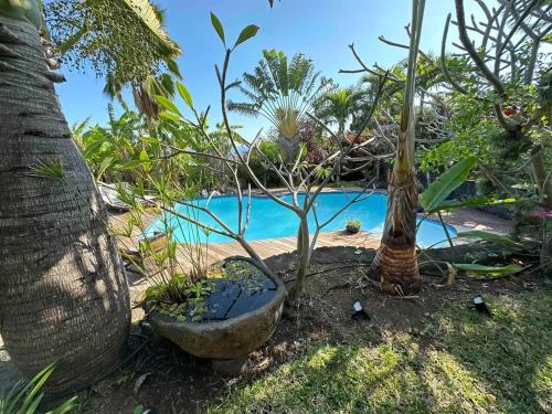 Κήπος έξω από το Villa spacieuse avec piscine à Les Avirons