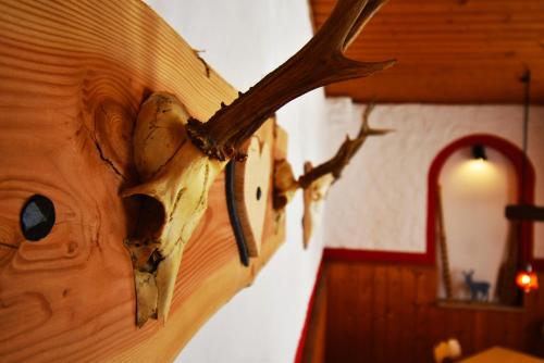 an animal skull on the wall of a room at Wamperling - Erlebnisbrauerei mit wildem Wirtshaus und Pension in Neustadt bei Coburg