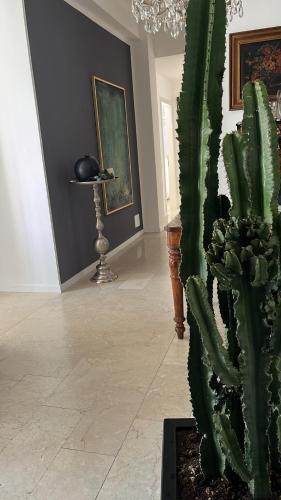 Fotografie z fotogalerie ubytování Fleur Blanche v destinaci Verona