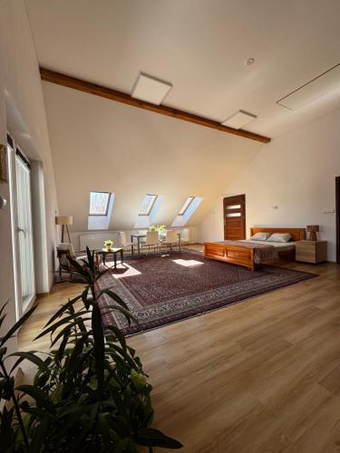 a large room with a bed and skylights at Apartament Poranek w Sadzie in Białla