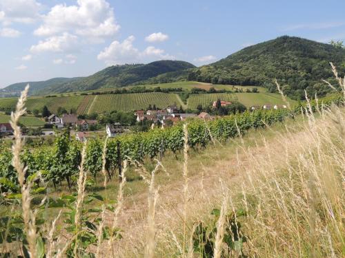 a vineyard in the hills with a village in the background at Ferienwohnung "Dorfblick" in Leinsweiler