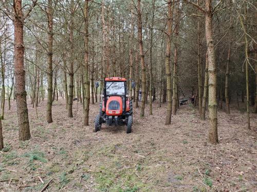 a red tractor parked in a forest of trees at Pokój Cień Paproci in Białla