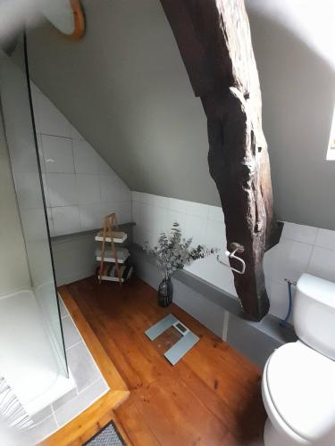 La Selle-CraonnaiseにあるRural Country Retreatのトイレとガラスのシャワー付きのバスルーム