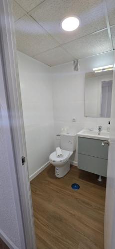 un bagno con un water, un lavandino e uno specchio di Triana Apartahotel a Siviglia