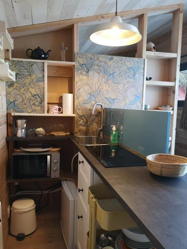 une cuisine avec un évier et un micro-ondes dans l'établissement le Nid de la Monne, à Le Vernet-Sainte-Marguerite