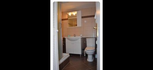 een badkamer met toilet en wastafel bij House Marija in Brela