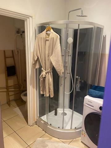 La salle de bains est pourvue d'une douche et d'un peignoir. dans l'établissement L'Imperial, à Arles