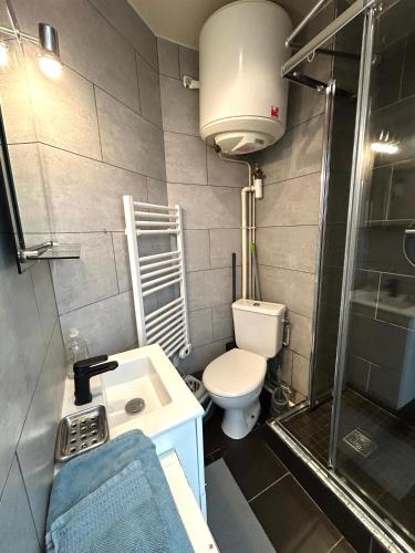 une salle de bain avec toilettes, lavabo et douche dans l'établissement Le studio Grenelle, à Paris