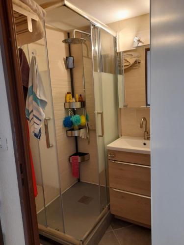 une salle de bain avec douche et lavabo dans l'établissement Bois de Jade N100, à Argelès-sur-Mer