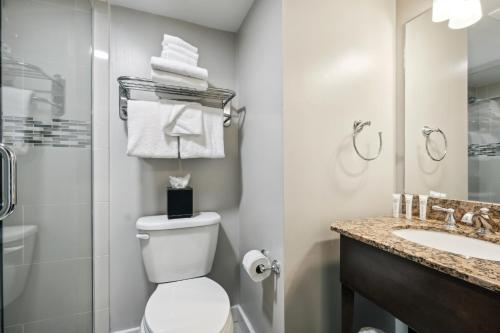 a bathroom with a toilet and a shower and a sink at French Market Inn in New Orleans