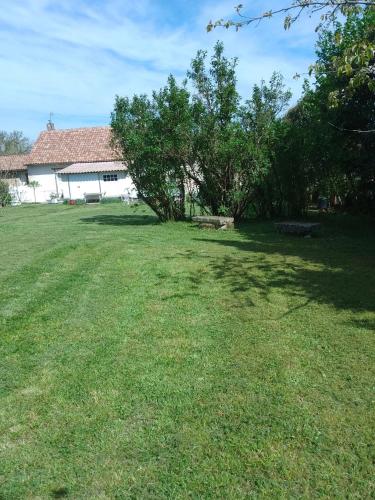 a large yard with a tree and a building at Maison spacieuse à Vic-Fezensac avec jardin in Vic-Fezensac