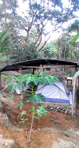 LidliddaにあるCamping Ground @ Eastdee Lidliddaのギャラリーの写真