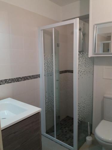 une salle de bain avec une douche avec un lavabo et des toilettes dans l'établissement Rare location vacances appartement Banyuls vue mer avec parking, à Banyuls-sur-Mer