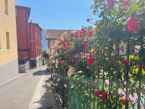 a row of roses on a fence on a street at Nice apartment with terrace ! in Acquaseria
