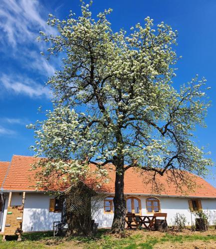 Haus Rita am Örség