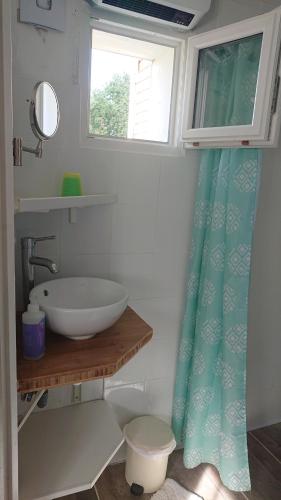 un bagno con lavandino e tenda da doccia di Studio indépendant au calme a Château-lʼÉvêque