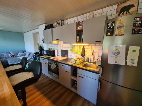 eine Küche mit einem Kühlschrank aus Edelstahl und einem Sofa in der Unterkunft Ferienwohnungen Dorfliebe Dörnberg GARTENBLICK in Bestwig