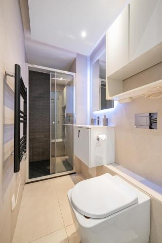 La salle de bains est pourvue de toilettes et d'une douche à l'italienne. dans l'établissement Charme Niçois avec terrasse en ville, à Nice