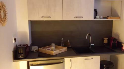 un comptoir de cuisine avec un évier et un micro-ondes dans l'établissement Terrasse, à Toulouse