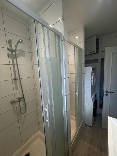 La salle de bains est pourvue d'une douche à l'italienne. dans l'établissement Large Apartment Free Parking Mulhouse, à Mulhouse