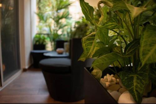 Novel Acropolis Apartment