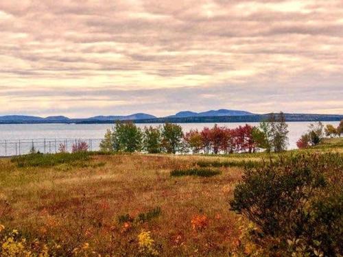 un prato con un grande bacino d’acqua di Sunrise Oceanside Cottage Family Ocean Acadia a Surry