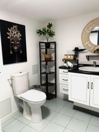 une salle de bain avec des toilettes blanches et un lavabo dans l'établissement le cocon de gepetto spa privatif, à Fussy