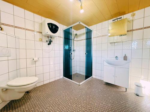 a bathroom with a shower and a toilet and a sink at Ferienwohnung 2 Wald & See in Zirchow