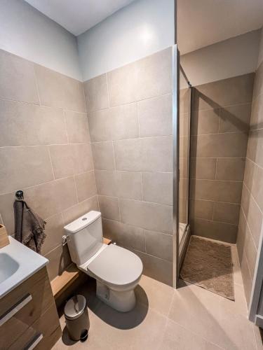 une salle de bain avec toilettes et douche dans l'établissement Studio cosy Villefranche-Sur-Saône, à Villefranche-sur-Saône