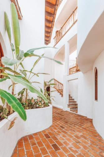 a staircase in a house with a plant at Amari Sayulita Boutique Hotel in Sayulita
