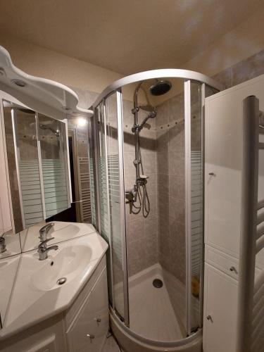 une salle de bain avec douche et lavabo dans l'établissement Front de Mer T2, au Barcarès