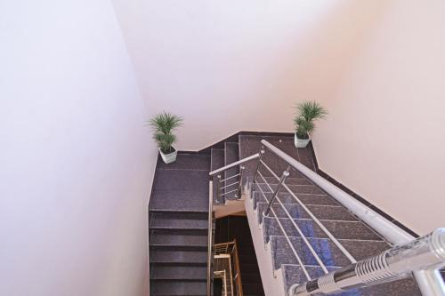 a staircase with potted plants on top of it at Hotel O Kalot in Jaipur