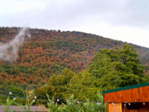 a hillside with a forest of trees and a train at Noor House 2 in Şuncuiuş